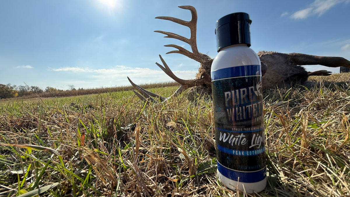 4oz White Lightning Peak Estrous | Premium Doe Estrous Scent for Serious Whitetail Hunters