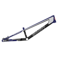 SYB 200: 20” TT Expert XL BMX Frame