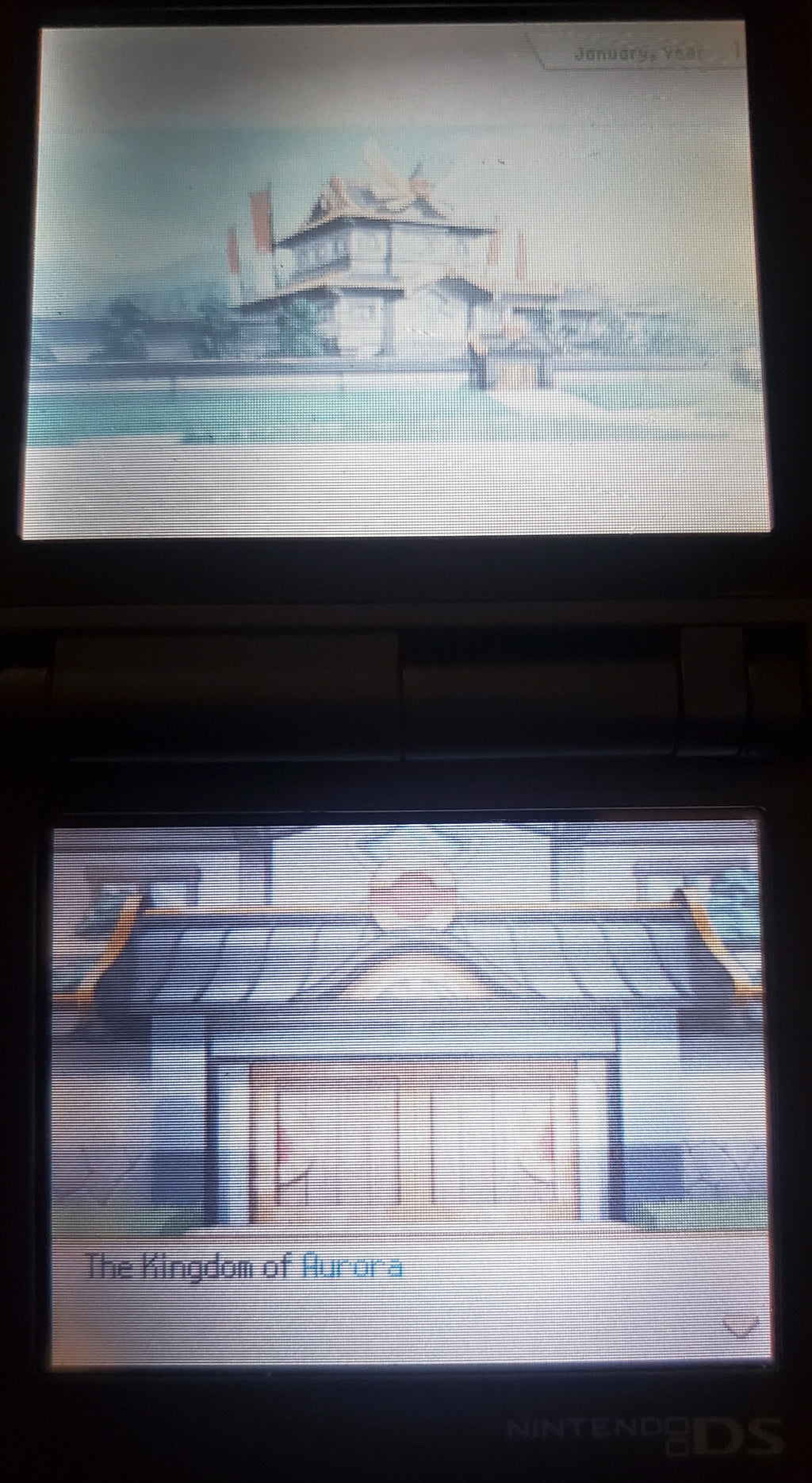 Pokemon Conquest Ultimate NDS Video Game Nintendo DS with Box ROM Hack