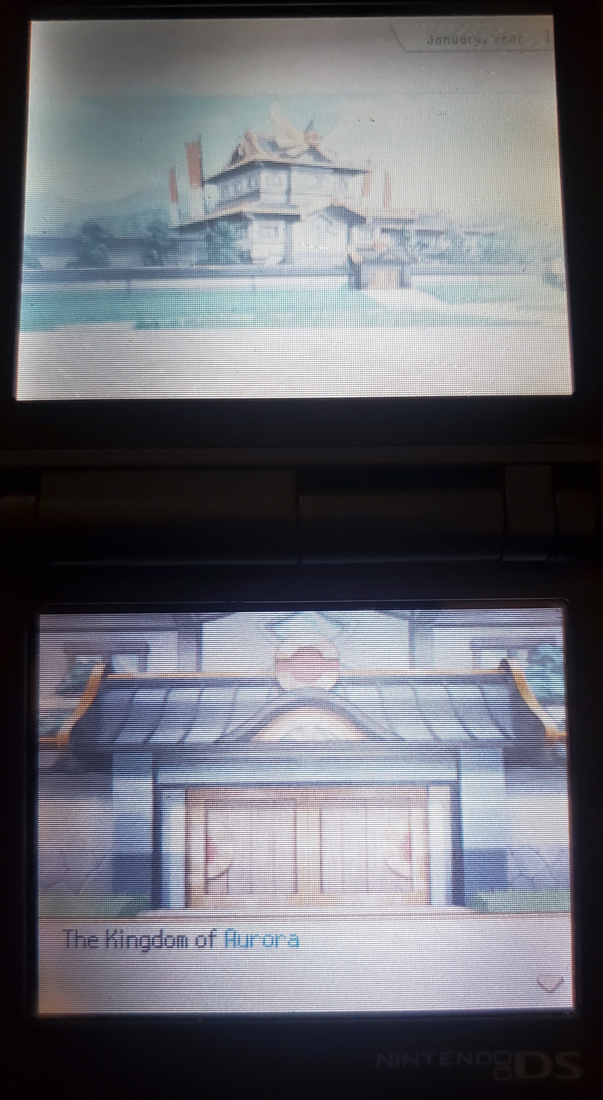 Pokemon Conquest Ultimate NDS Video Game Nintendo DS with Box ROM Hack