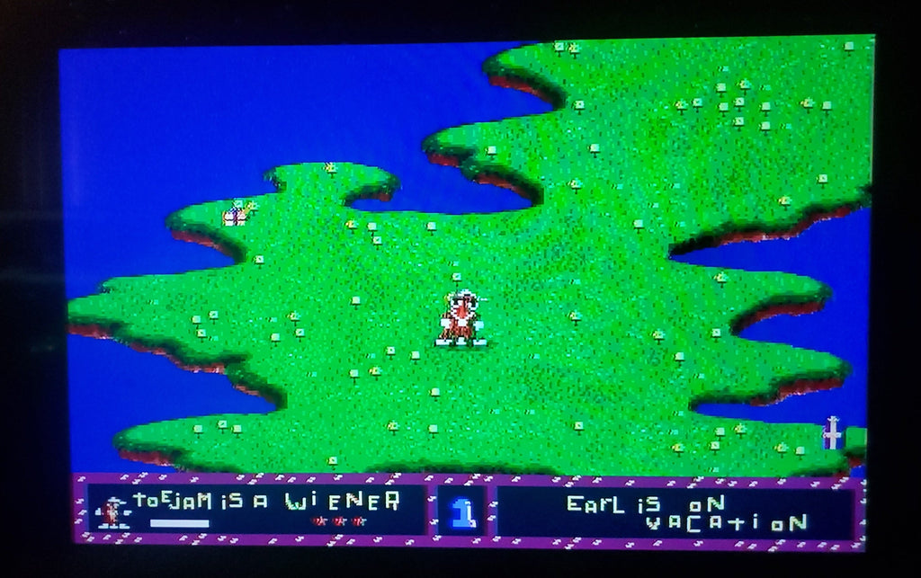 Toejam and Earl Sega Genesis Mega Drive Video Game Cartridge 1991