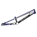 SYB 210: 21” TT Pro XL BMX Frame