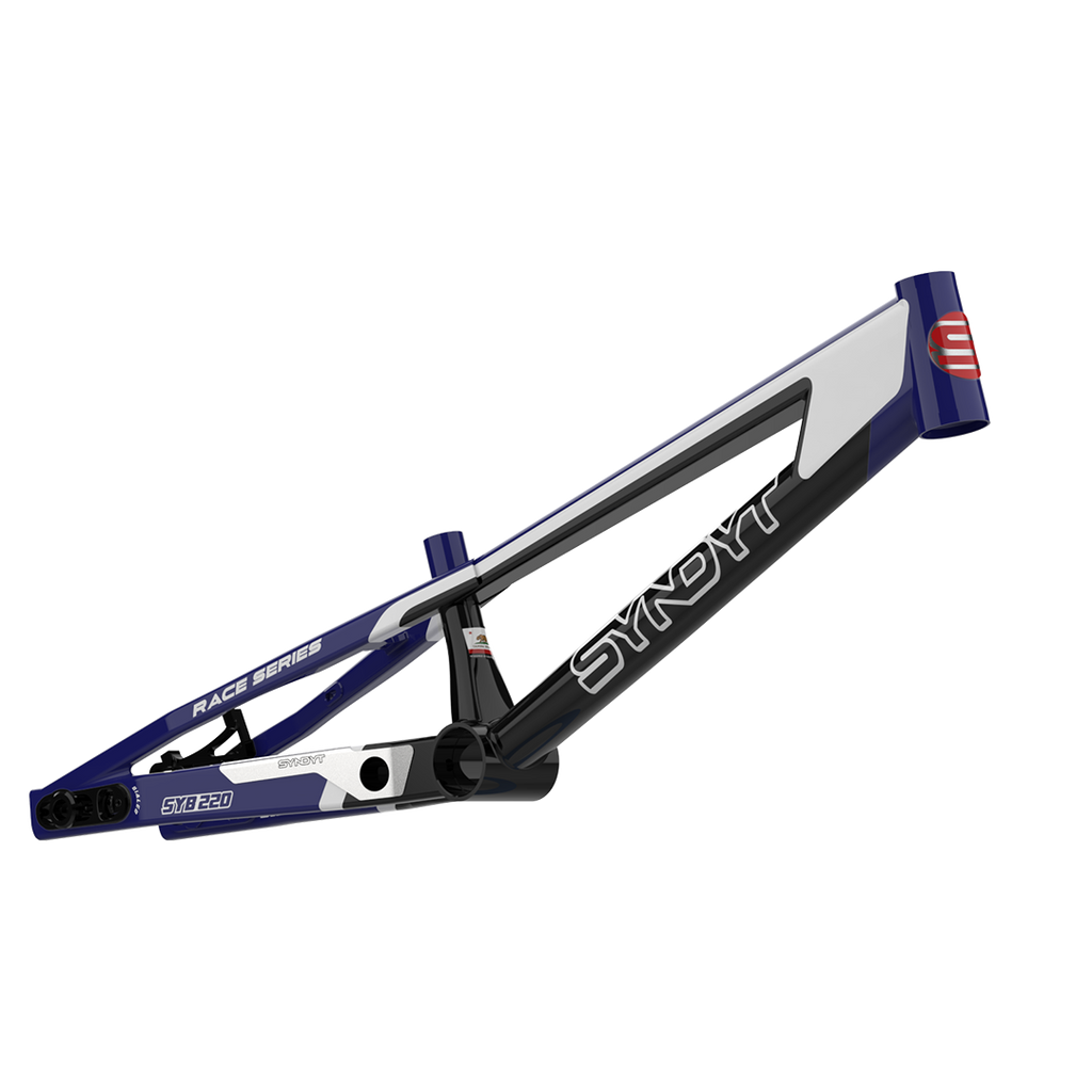 SYB 220: 22” TT Pro 3XL BMX Frame