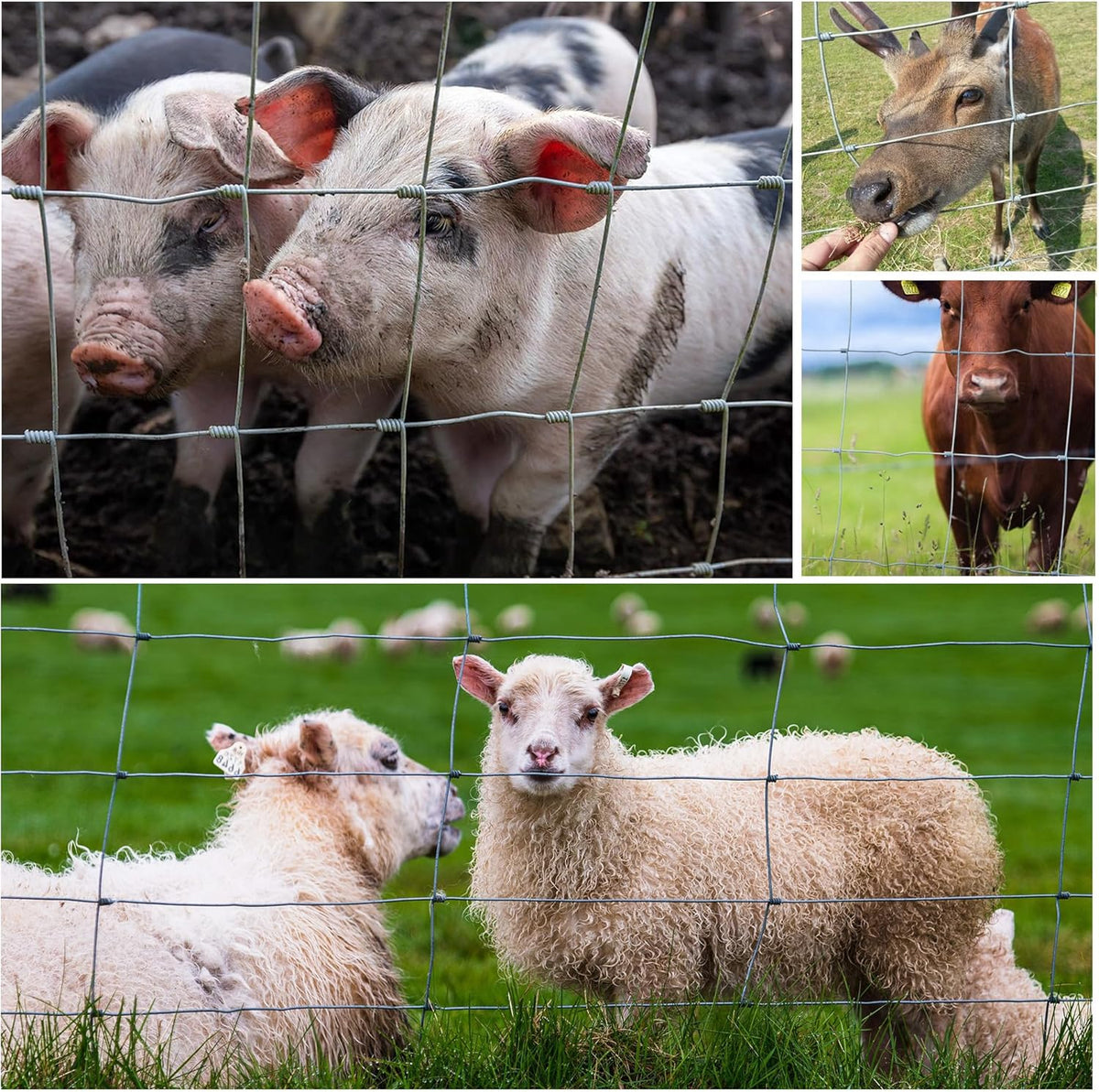 Heavy Zinc Coated Wire Fencing for Cattle with Easy Installation - Silver
