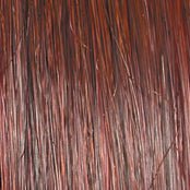 Raquel Welch On Your Game Wig Hairpiece New With Tags - Choose Color