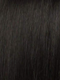 Raquel Welch Ahead of the Curve Wig, New With Tags - Choose Color