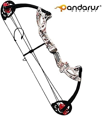 Compound Bow Archery for Youth and Beginner, Right Handed,19”-28” Draw Length,15-29 Lbs Draw Weight, 260 fps