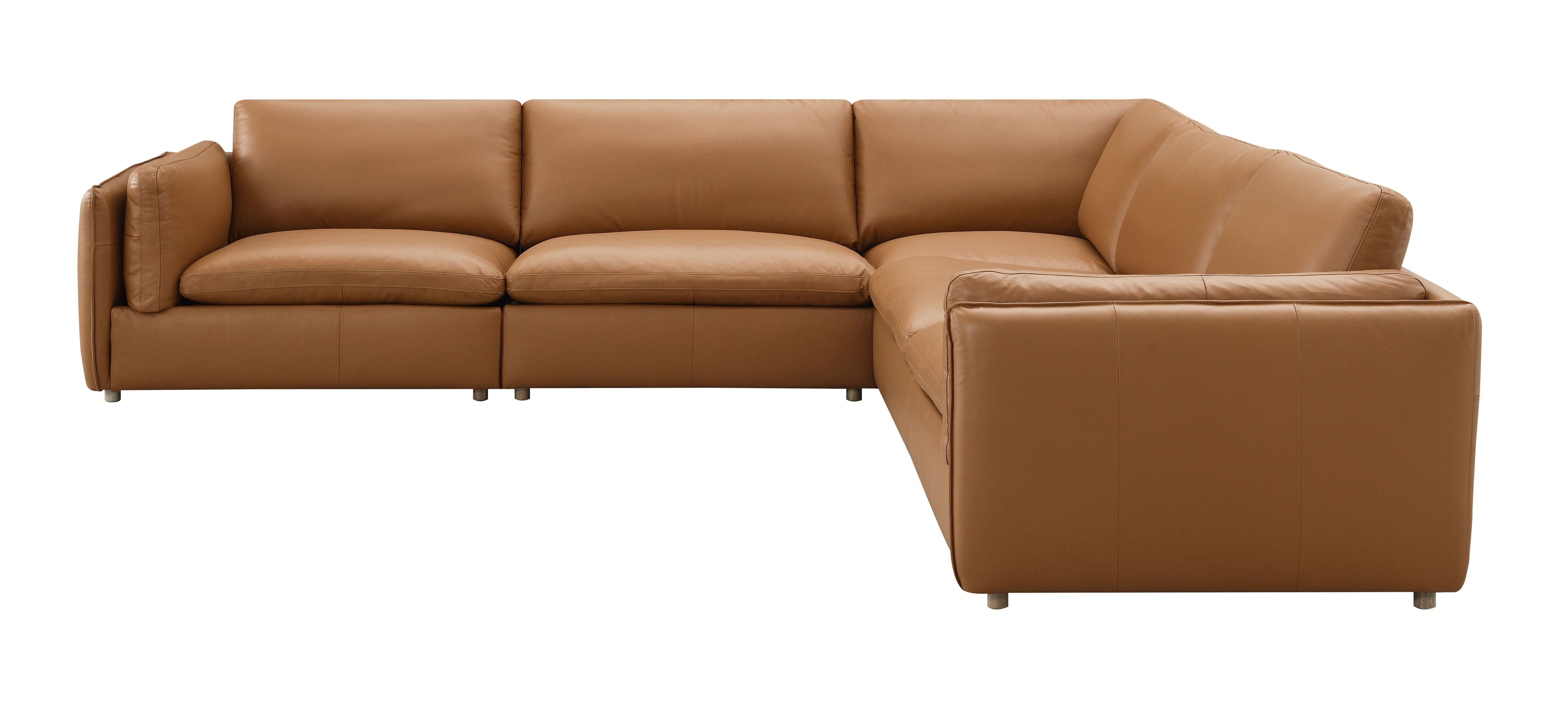 Brighton Top Grain Leather 5 Pieces Modular Sectional