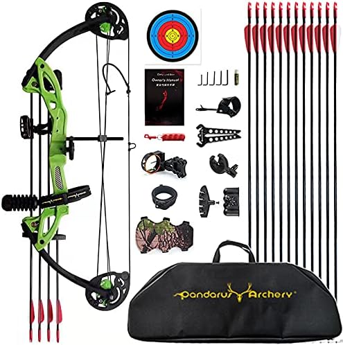 Compound Bow Archery for Youth and Beginner, Right Handed,19”-28” Draw Length,15-29 Lbs Draw Weight, 260 fps