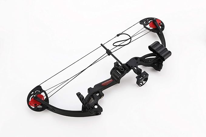Compound Bow Archery for Youth and Beginner, Right Handed,19”-28” Draw Length,15-29 Lbs Draw Weight, 260 fps