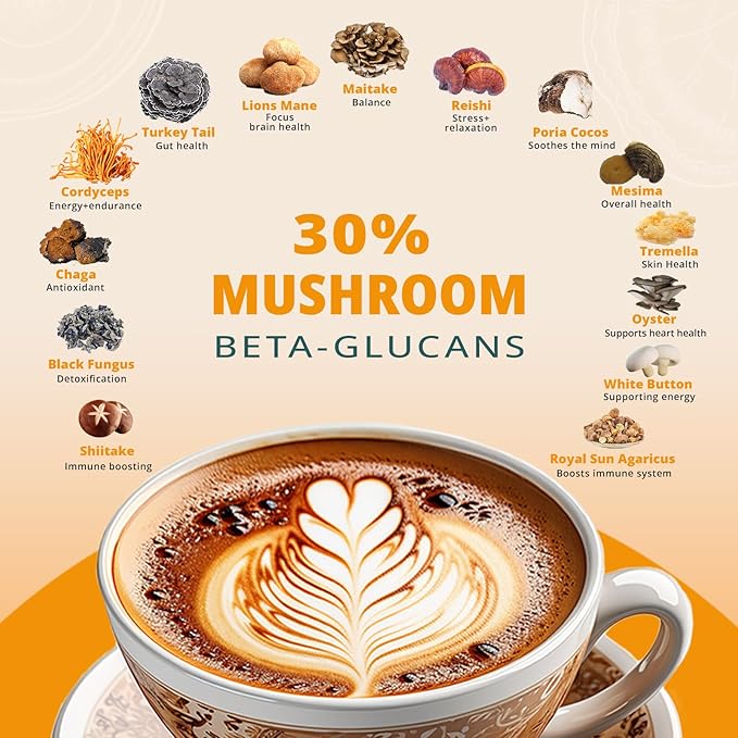 Cold Brew Mushrooms Coffee 14 in 1-60 Servings, Arabica Coffee with Lion's Mane, Reishi, Maitake, Turkey Tail, Chaga Fruiting Body Extract, 30% Beta-Glucan for Focus & Gut Health Support, 5.9oz