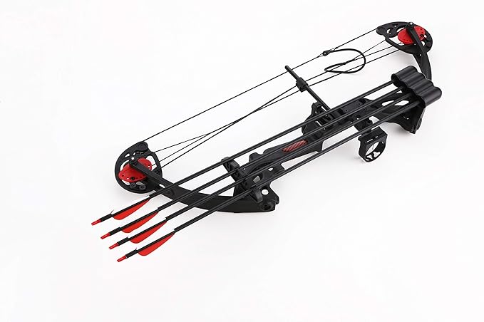 Compound Bow Archery for Youth and Beginner, Right Handed,19”-28” Draw Length,15-29 Lbs Draw Weight, 260 fps