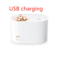 Wireless Mini USB charging sprayer