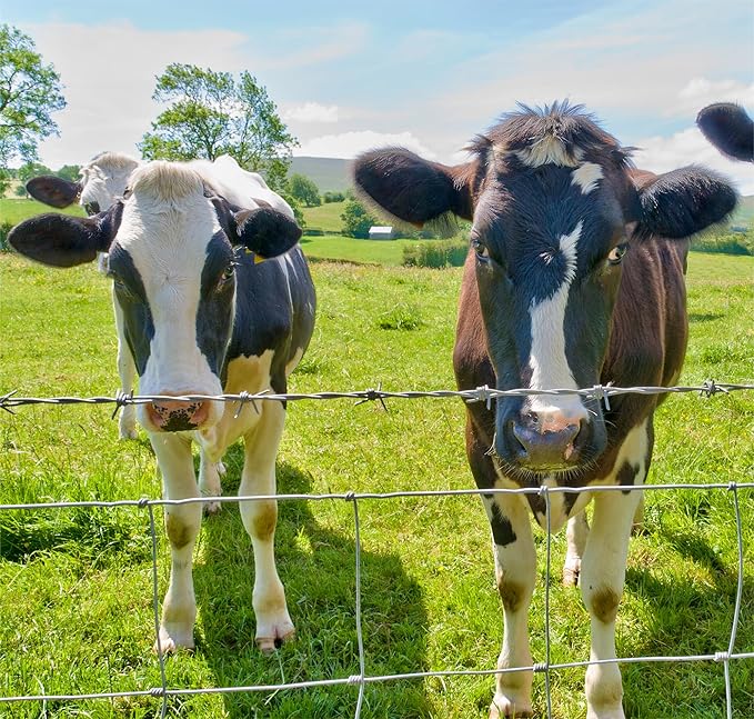 Heavy Zinc Coated Wire Fencing for Cattle with Easy Installation - Silver