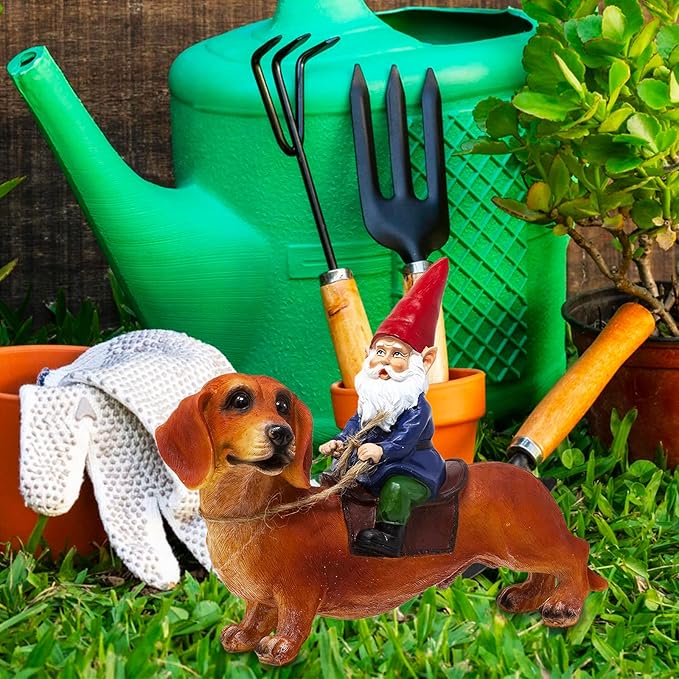 Funny Guy Mugs Gnome and a Dachshund Garden Statue- Indoor/Outdoor Garden Dog Gnome Sculpture for Patio, Yard or Lawn