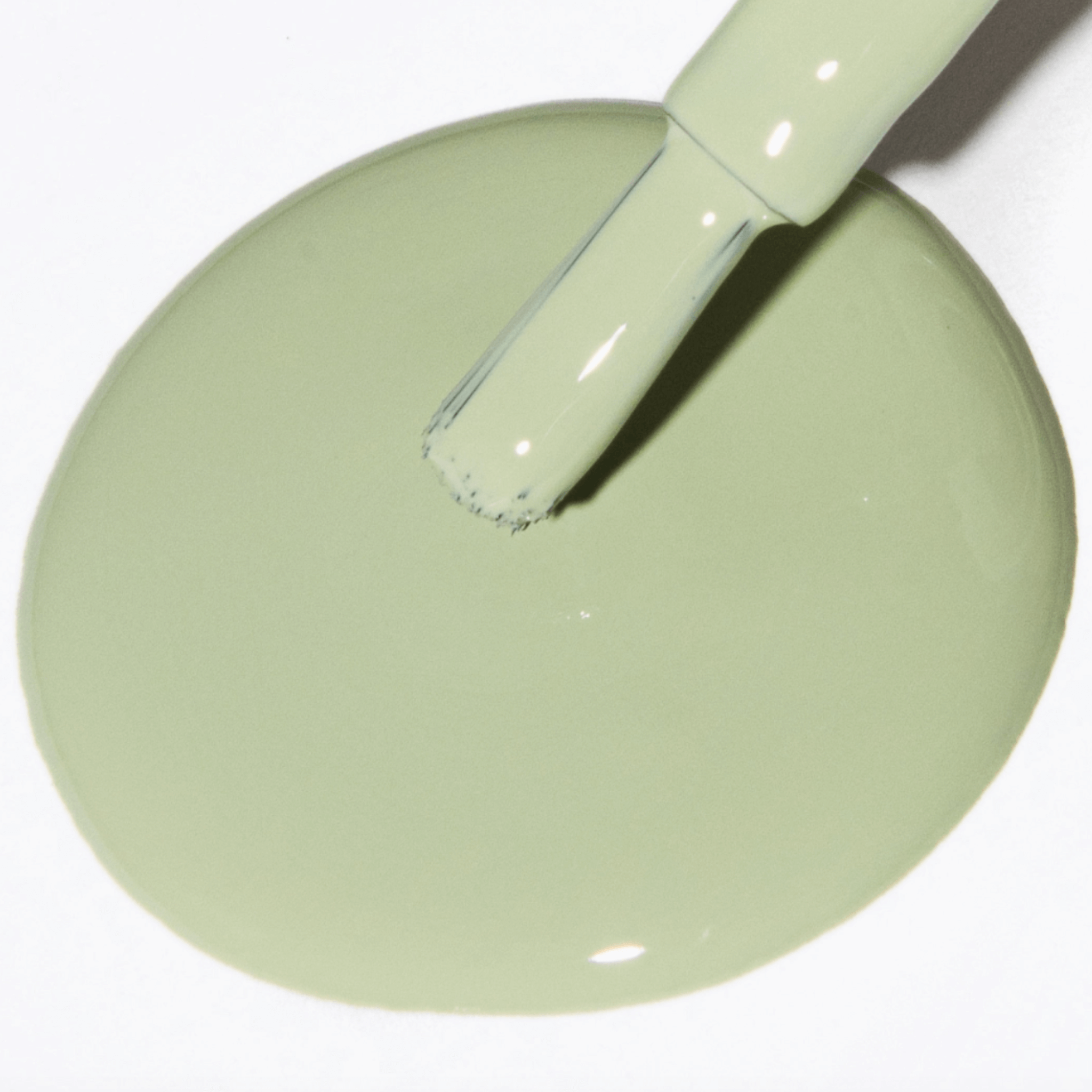 SAGE THE ROOM FOREVER WEAR CHILL PAINT