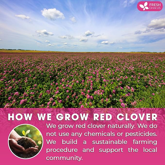 FreshDrinkUS, Premium Red Clover Herbal Tea– 55 Tea Bags – Pure – Naturally Smooth & Mild Flavor – Premium Quality, Eco-Conscious Packaging. Caffeine-Free. Gluten Free. Vegan