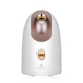 Hot and cold face steamer