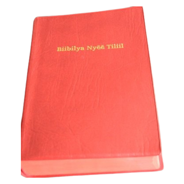 BIIBILYA NYEE TILTIIL: Sabaot Bible