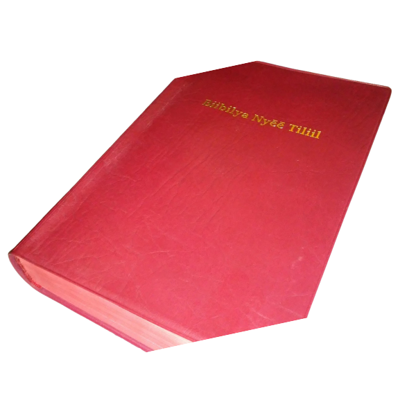 BIIBILYA NYEE TILTIIL: Sabaot Bible