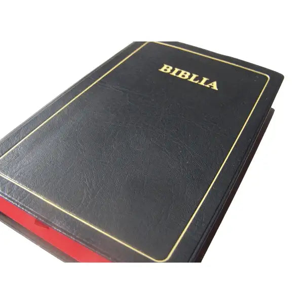 BIBLIA: MAANDIKO MATAKATIFU (Union Edition): Swahili Bible - World Safari Shops