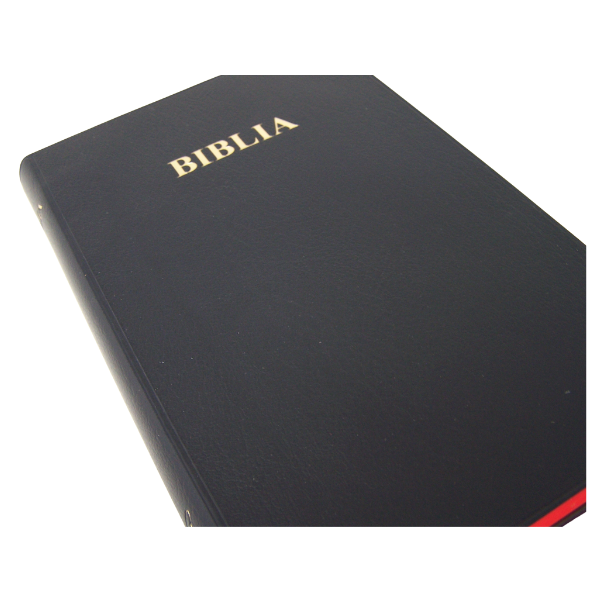 BIBLIA : SWAHILI BIBLE (Union Edition)