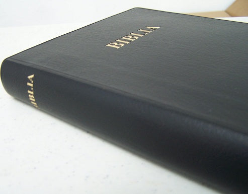 BIBLIA: MAANDIKO MATAKATIFU (Union Edition): Swahili Bible