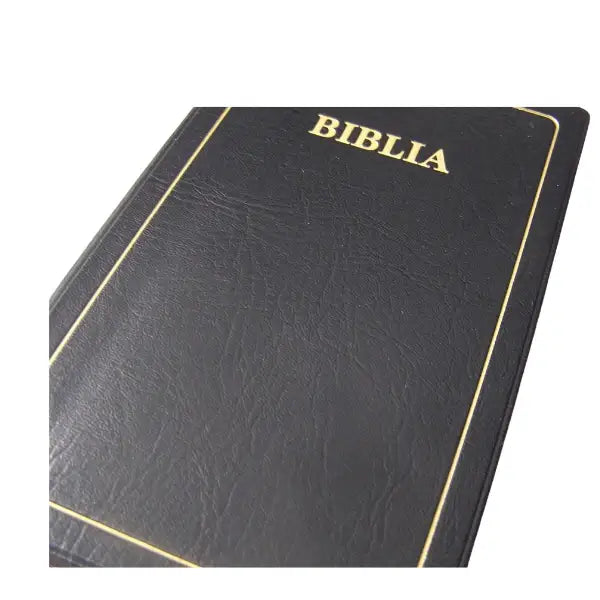 BIBLIA: MAANDIKO MATAKATIFU (Union Edition): Swahili Bible - World Safari Shops