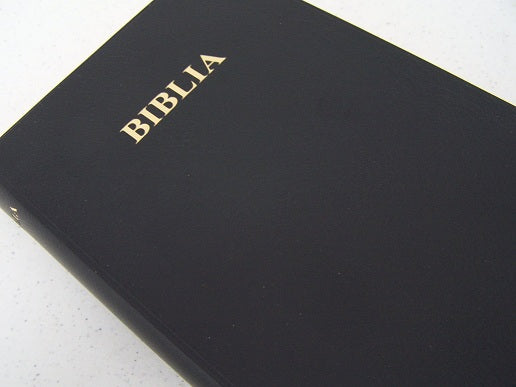 BIBLIA: MAANDIKO MATAKATIFU (Union Edition): Swahili Bible