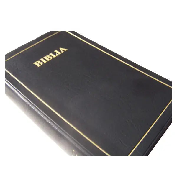 BIBLIA: MAANDIKO MATAKATIFU (Union Edition): Swahili Bible - World Safari Shops