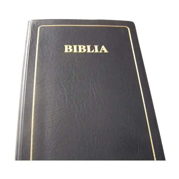 BIBLIA: MAANDIKO MATAKATIFU (Union Edition): Swahili Bible - World Safari Shops