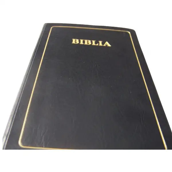 BIBLIA: MAANDIKO MATAKATIFU (Union Edition): Swahili Bible - World Safari Shops