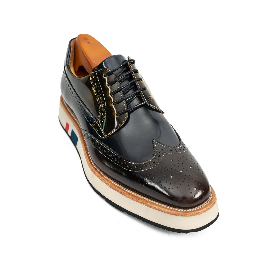 Dark Blue-Black and Brown Wingtip Derby Shoe