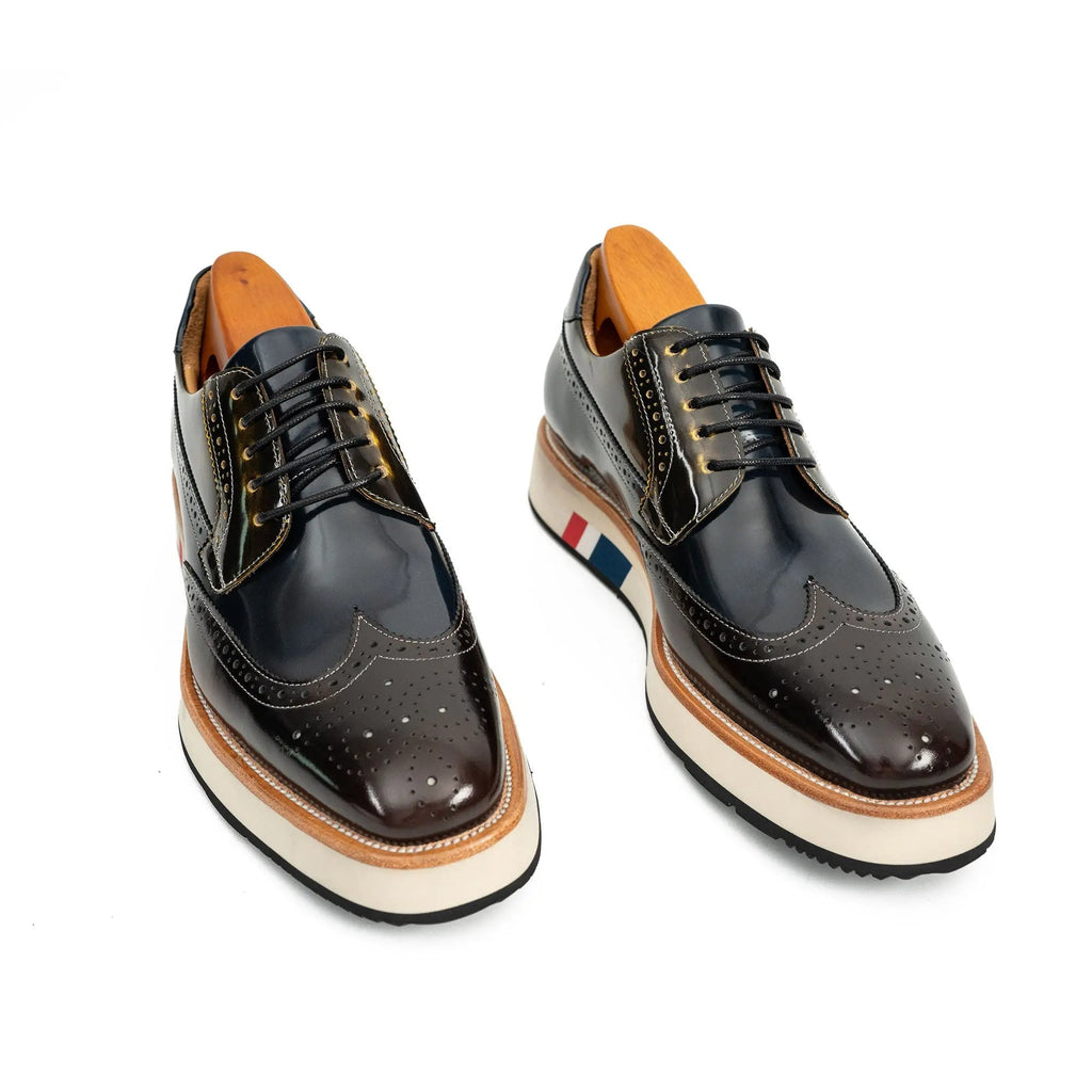 Dark Blue-Black and Brown Wingtip Derby Shoe