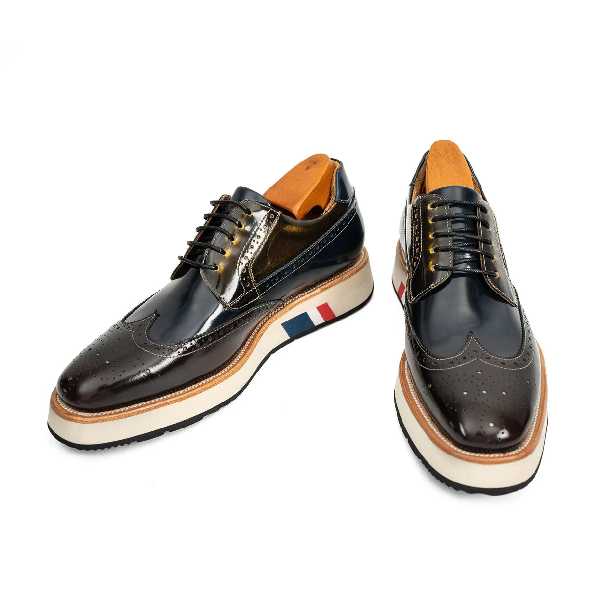 Dark Blue-Black and Brown Wingtip Derby Shoe