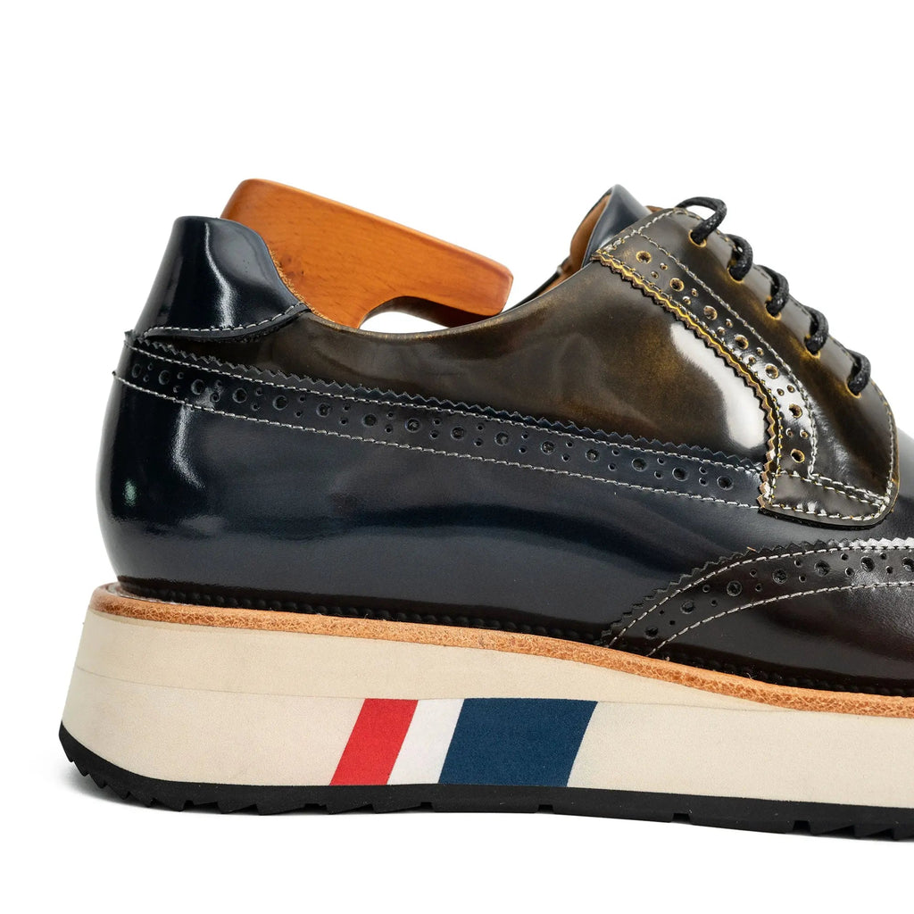 Dark Blue-Black and Brown Wingtip Derby Shoe