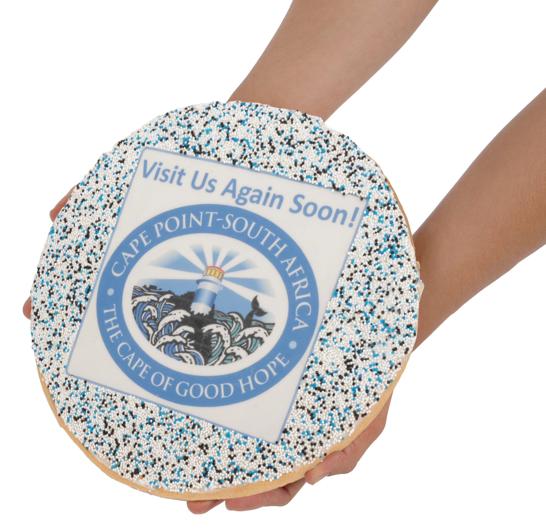 Giant Chocolate Covered Round Sugar Shortbread Cookie