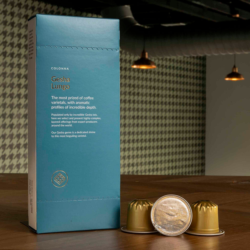 Colonna Coffee Pods: Gesha Lungo (10x)