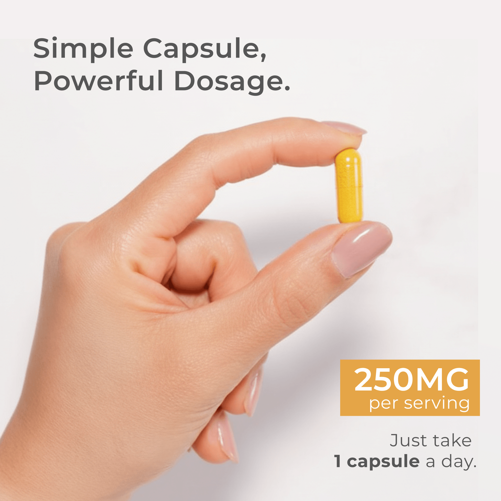 Dihydroberberine Capsules