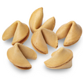 Plain Gourmet Vanilla Fortune Cookies- Single