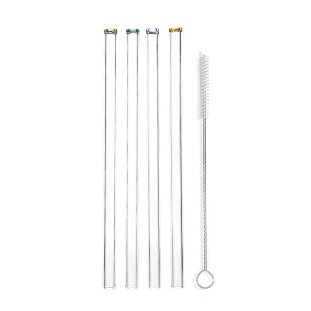 Juice and Smoothie Glass Straw Set
