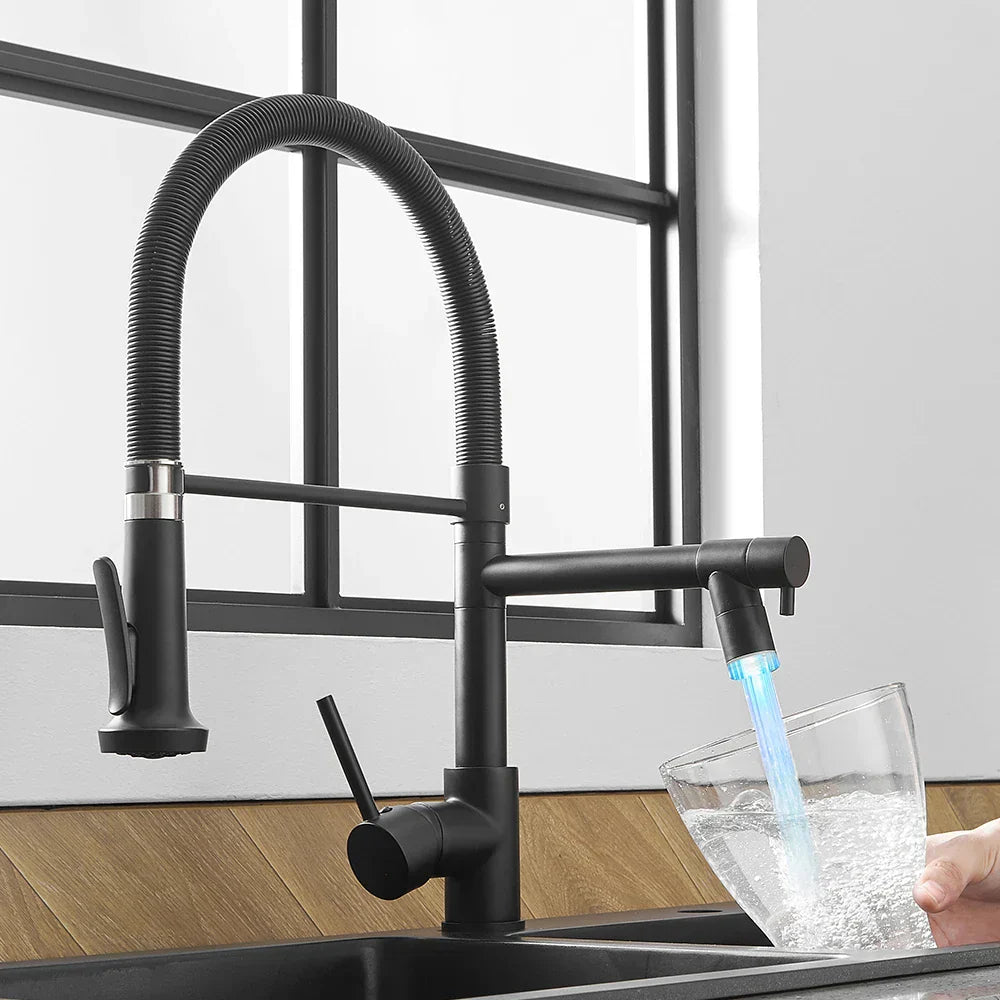 DecorBites™ LED Kitchen Faucet with Dual Spouts and Single Handle