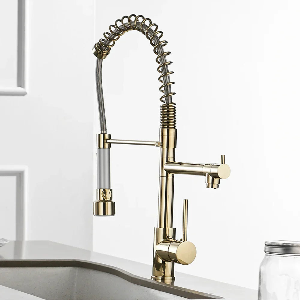 DecorBites™ Gold Spring Spout Kitchen Faucet - Single Pull Out Mixer Tap