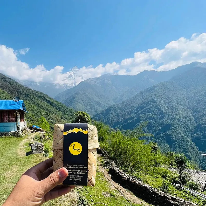 93° Himalayan Moringa Tea (Caffeine-Free Superfood Herbal Tea)