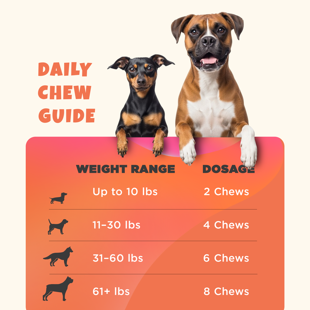 Hip & Joint Chews for Dogs 2 Jar Bundle (180 chews)