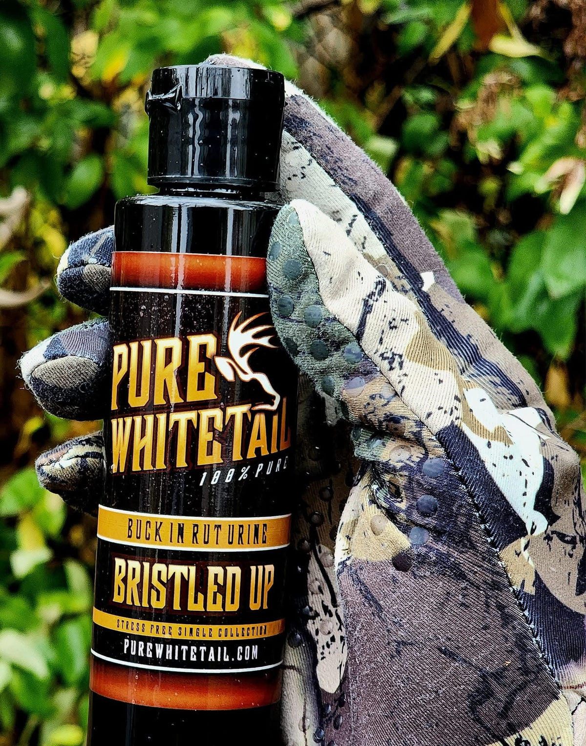 Bristled Up Rutting Buck Urine - Aggressive Buck Urine for Peak Rut Territory Challenge