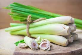 Lemongrass Fresh 8-10 Stalks from Trendoli Fresh.