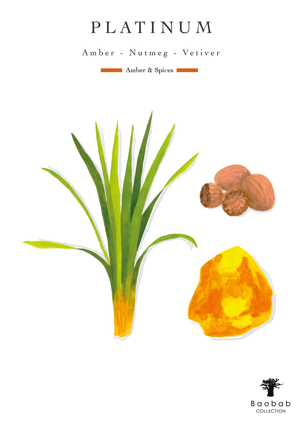 Baobab Collection Platinum Max 10 Candle