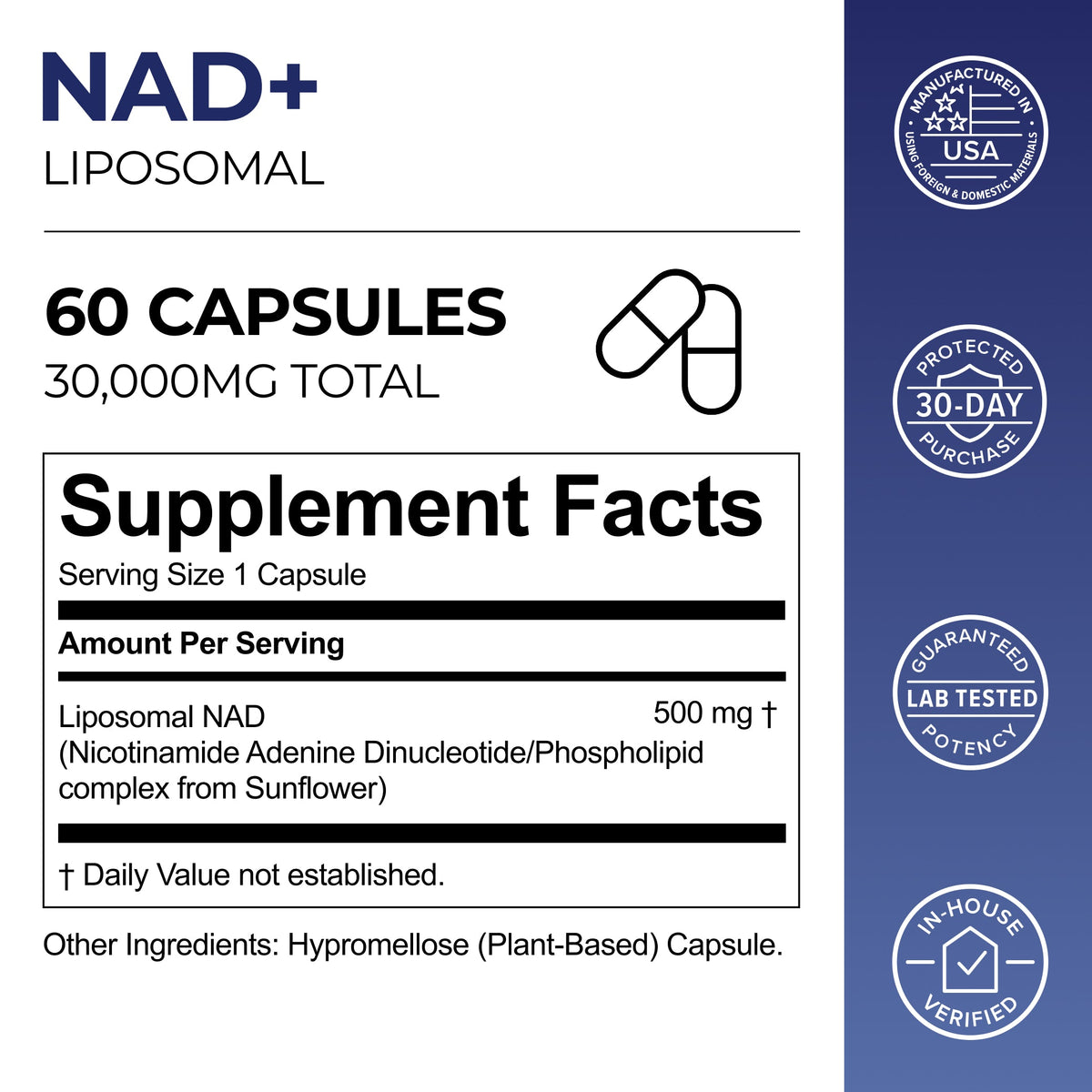 Liposomal NAD+ Capsules