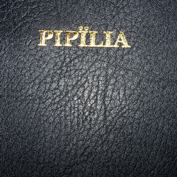 PIPILIA: POKOT BIBLE